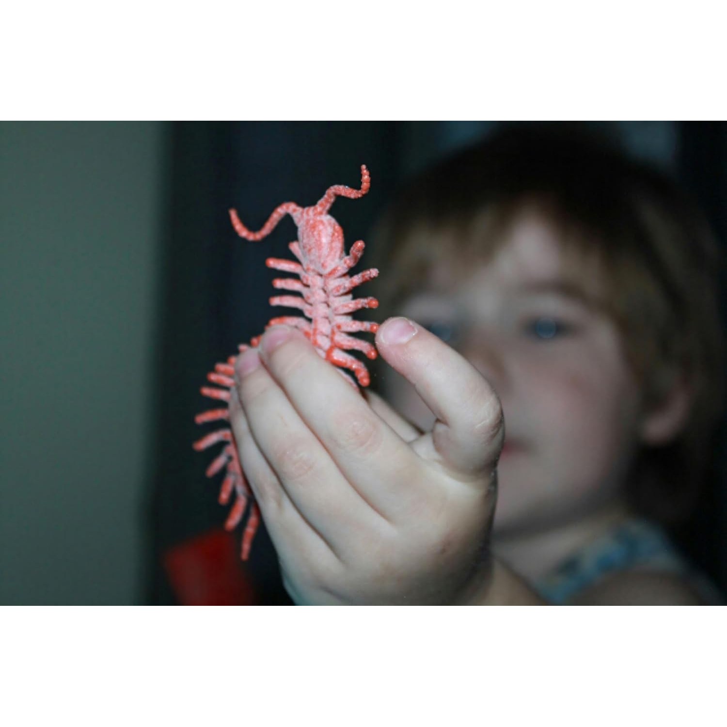 Realistic Insect Figures 16-Piece Bug Science Set: image 4
