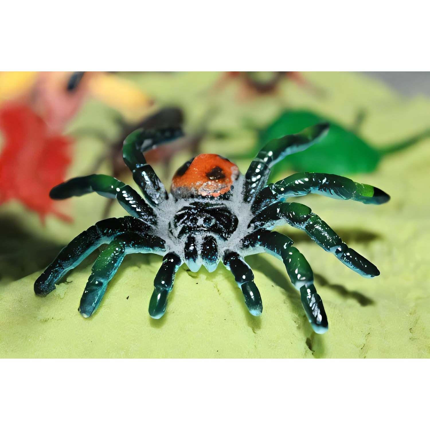 Realistic Insect Figures 16-Piece Bug Science Set: image 5