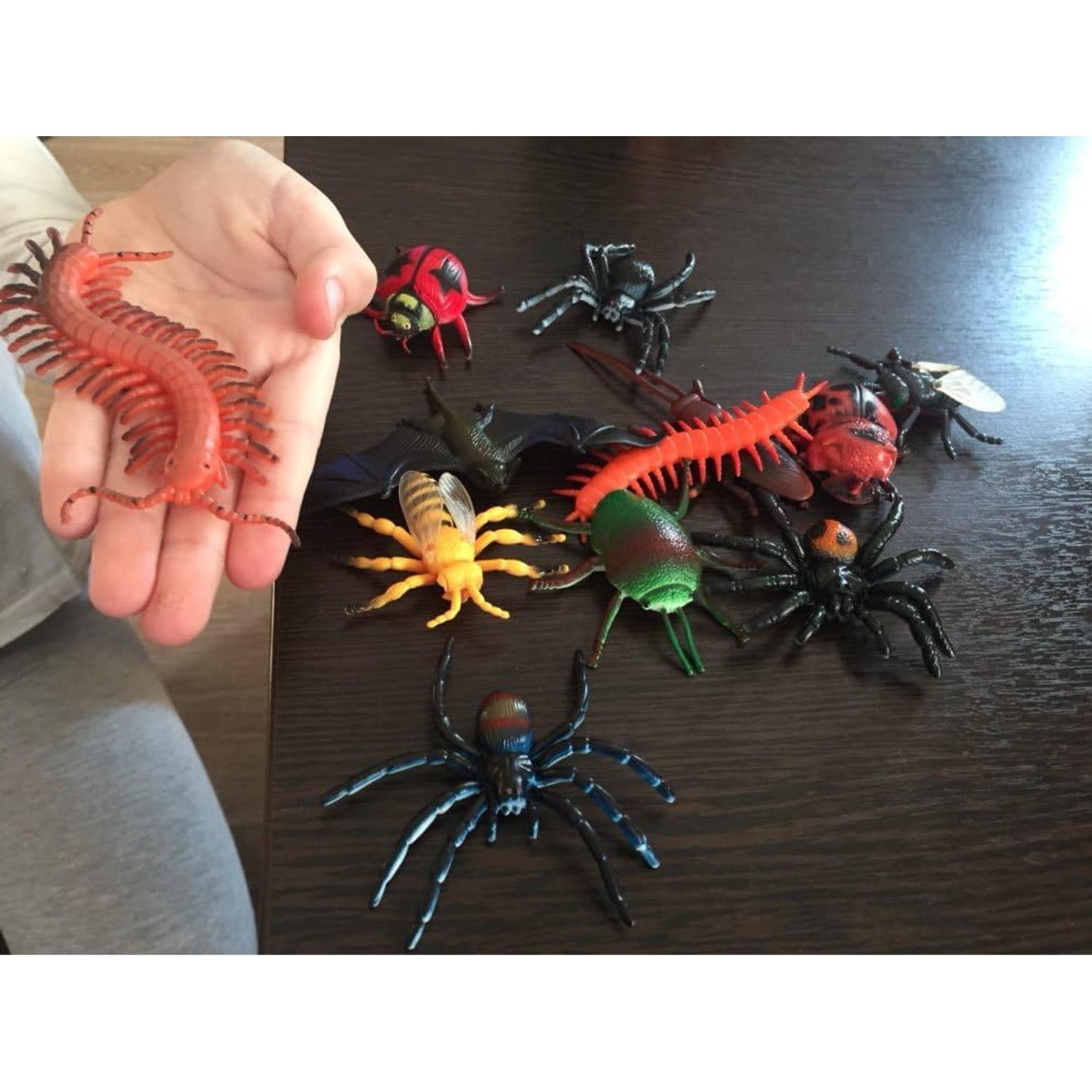 Realistic Insect Figures 16-Piece Bug Science Set: image 6