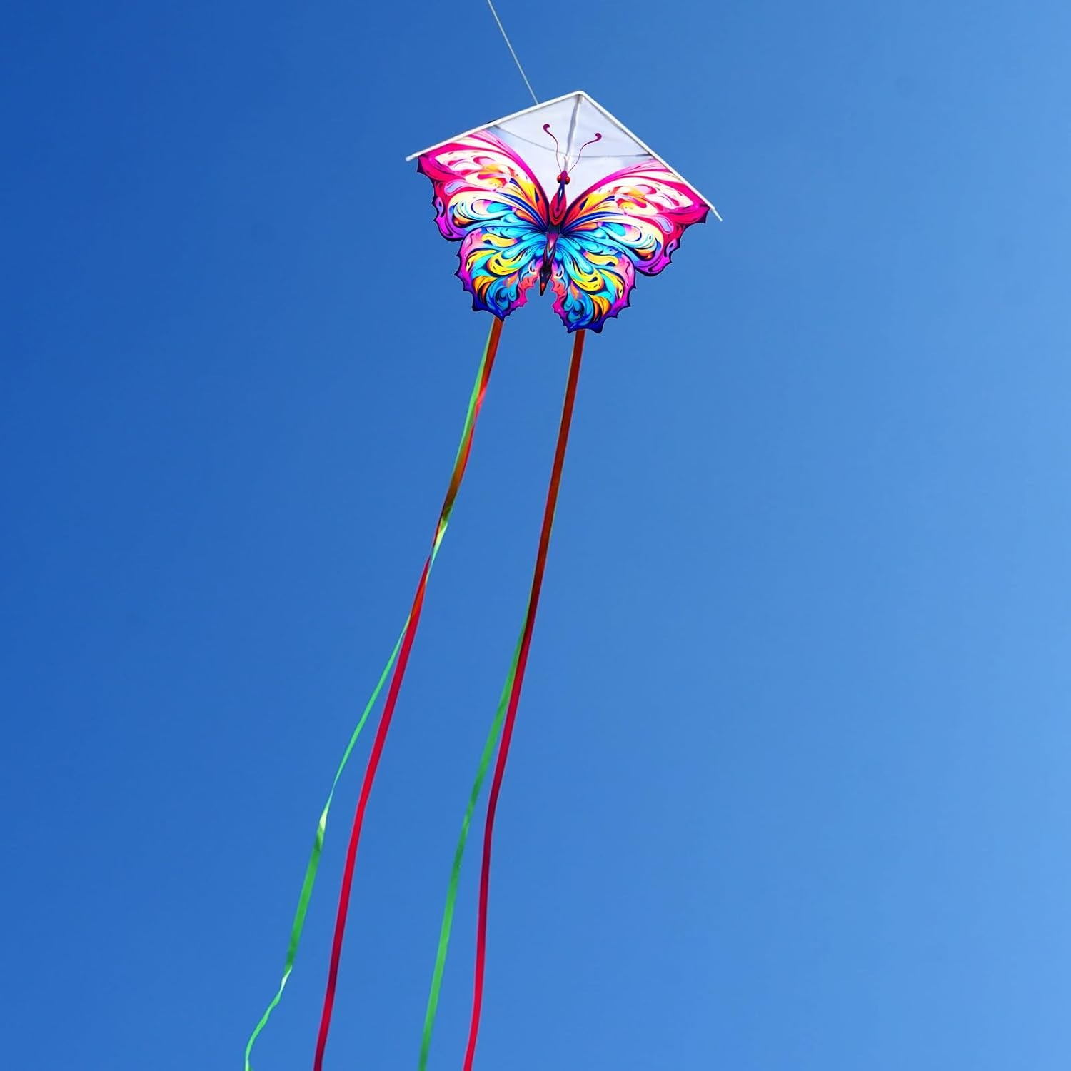 Butterfly Kite 2-Pack