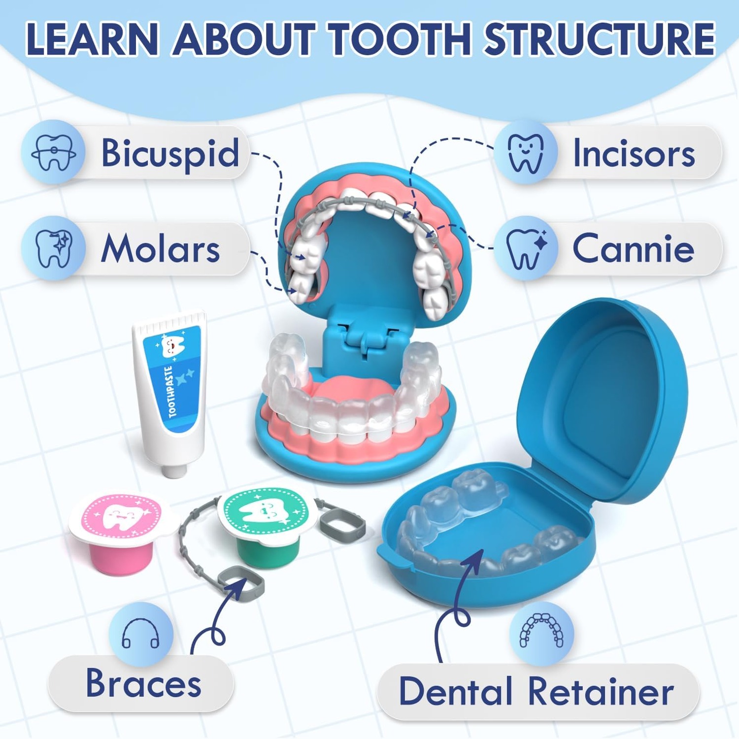 Kids Dentist Play Set with Doctor Costume and Dental Models: image 8